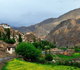 DivineTourtoLehLadakh.jpg