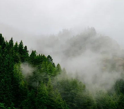 NainitalwithRanikhetJimCorbett.jpg