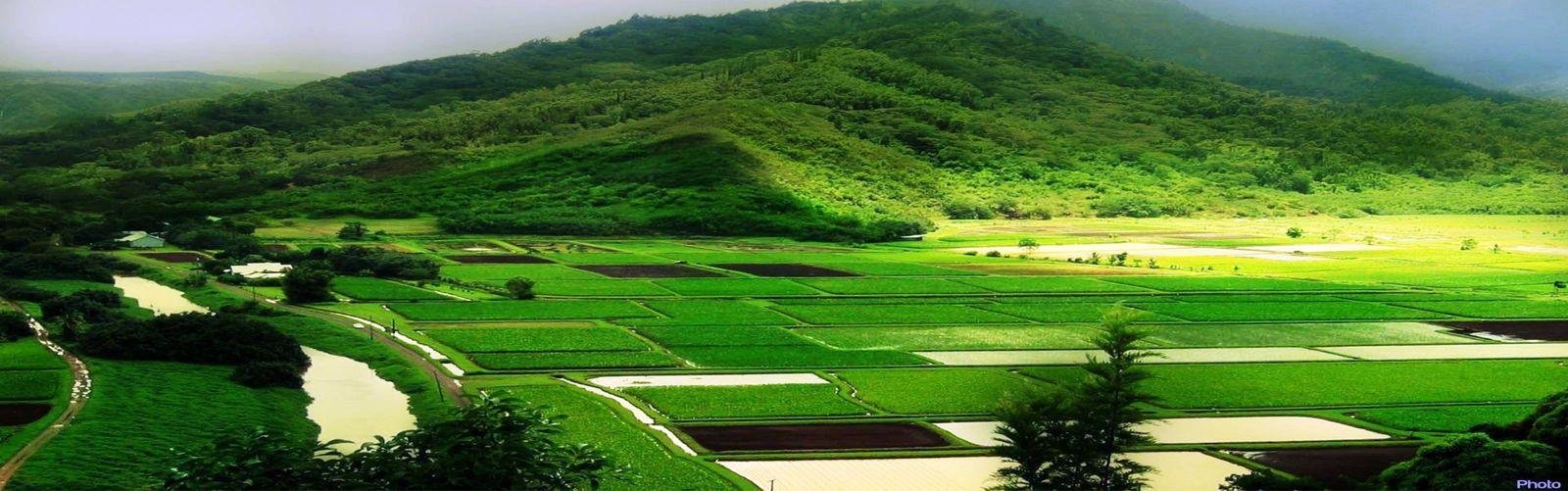 Mysore Coorg tour
